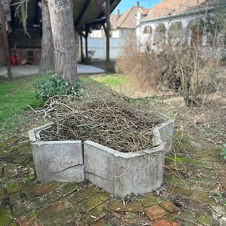 Prázdninový dům Mandulaag Vendeghaz Egerszalók